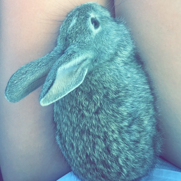 Meet your Posher, Laura - Picture 2 of 3